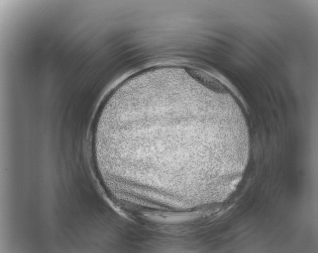 X0000066531053200604141835