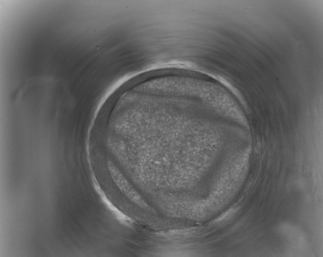 X0000066531054200604141835