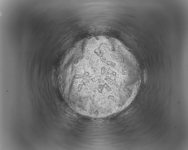 X0000066531059200604141834