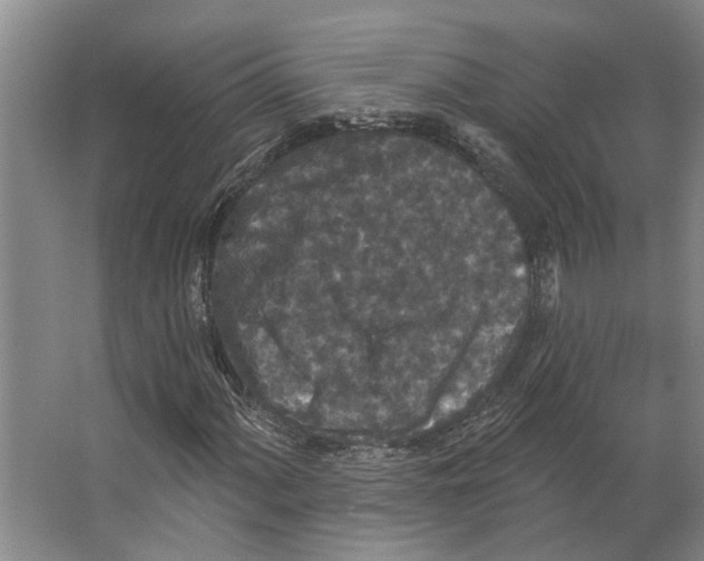 X0000066531060200604141834