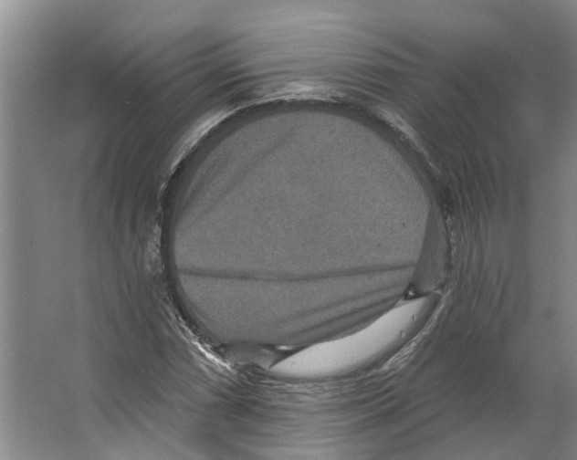 X0000066531066200604141834