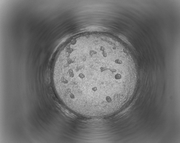 X0000066531067200604141834