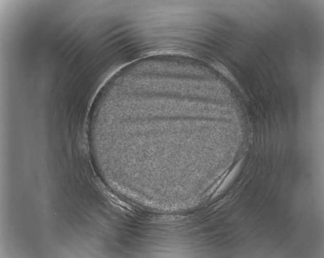 X0000066531068200604141834