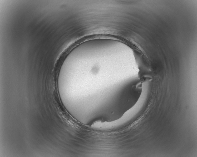 X0000066531069200604141834