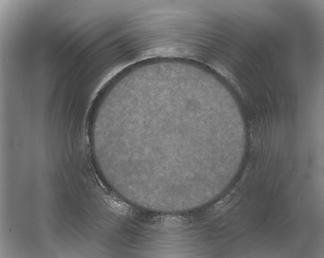 X0000066531070200604141834