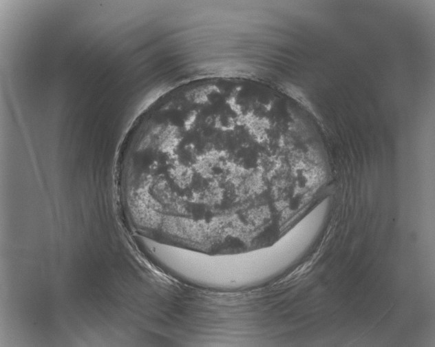 X0000066531071200604141834