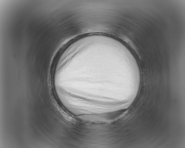 X0000066531072200604141834