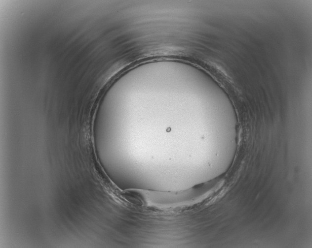 X0000066531073200604141834