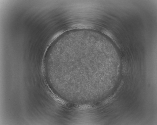 X0000066531074200604141834