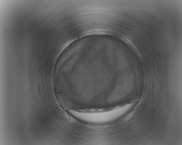 X0000066531081200604141833