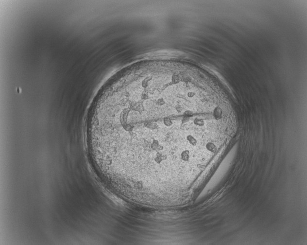 X0000066531083200604141833