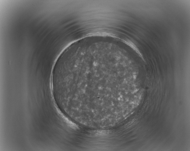 X0000066531084200604141833