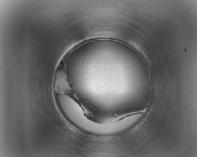 X0000066531085200604141833