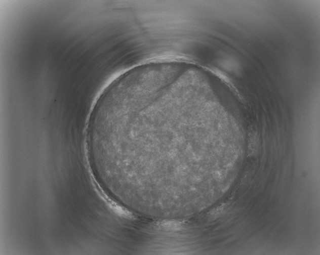 X0000066531086200604141833