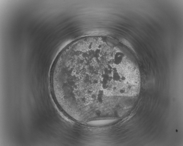 X0000066531087200604141833