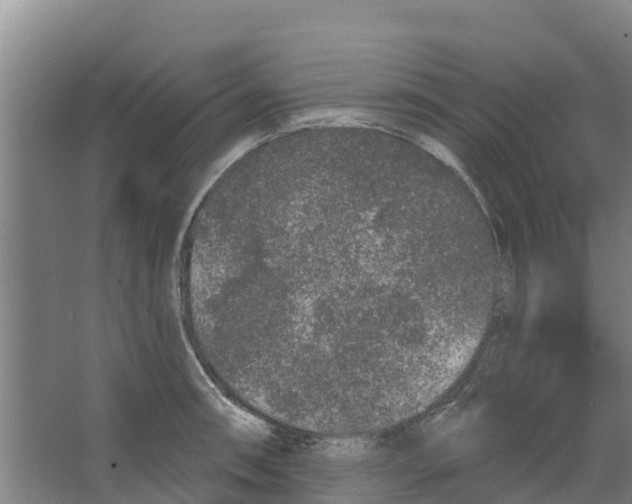 X0000066531090200604141833