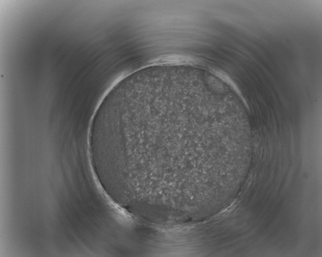 X0000066531091200604141833