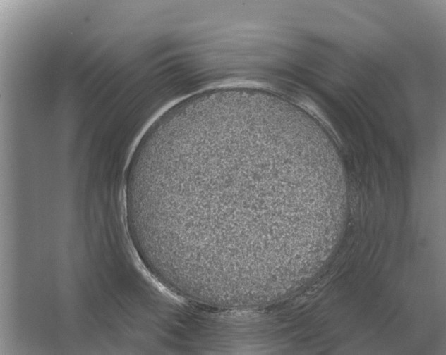 X0000066531092200604141833