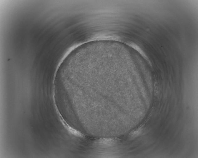 X0000066531094200604141833