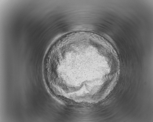 X0000066531096200604141833