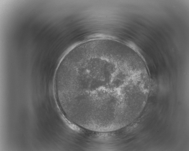 X0000066531098200604141833