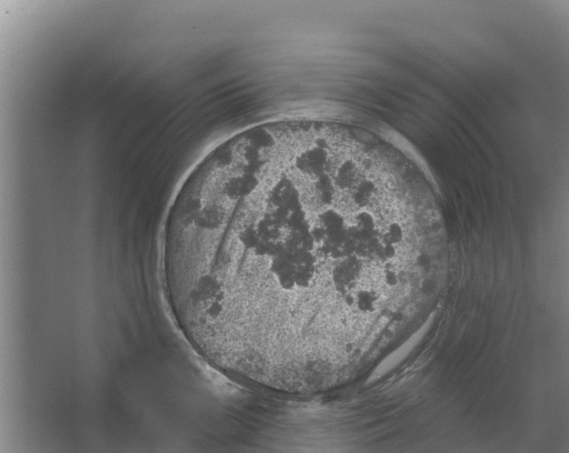 X0000066531099200604141833