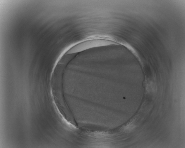 X0000066531102200604141833