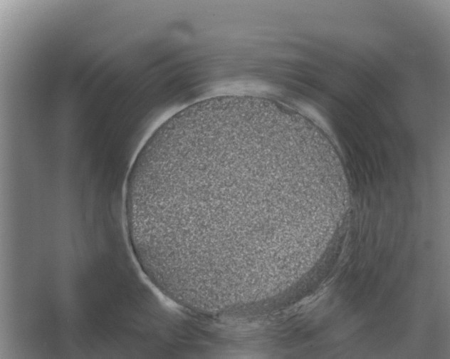 X0000066531103200604141833