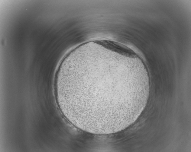 X0000066531104200604141833