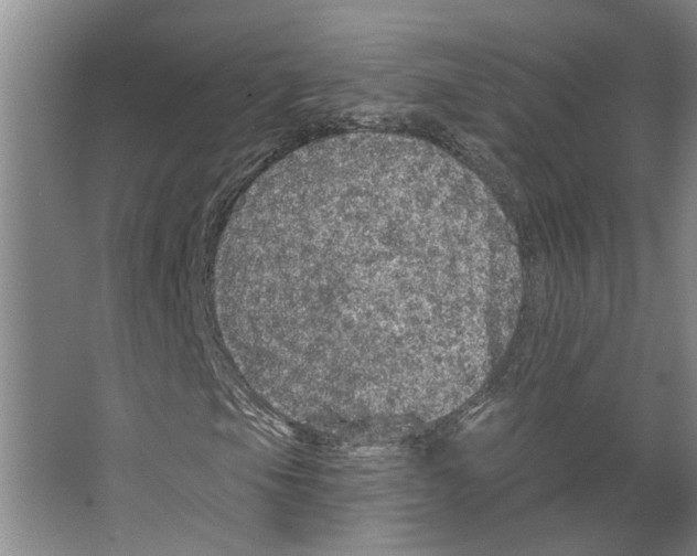 X0000066531105200604141832