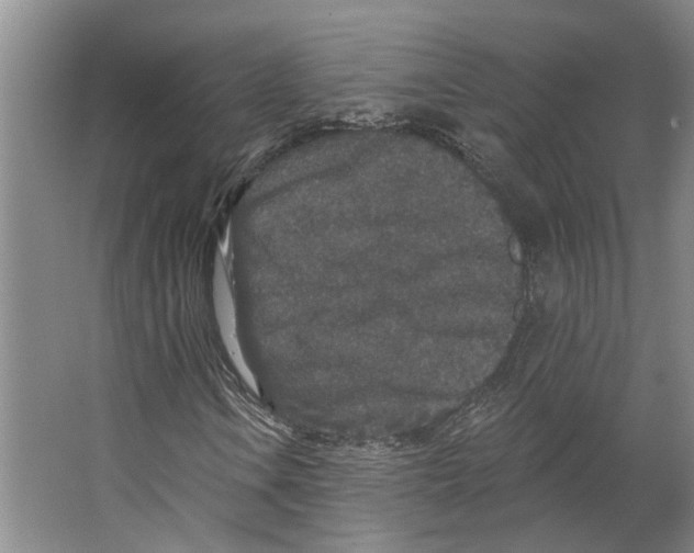 X0000066531106200604141832