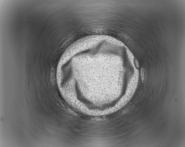 X0000066531107200604141832