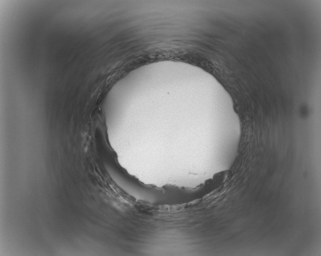 X0000066531109200604141832