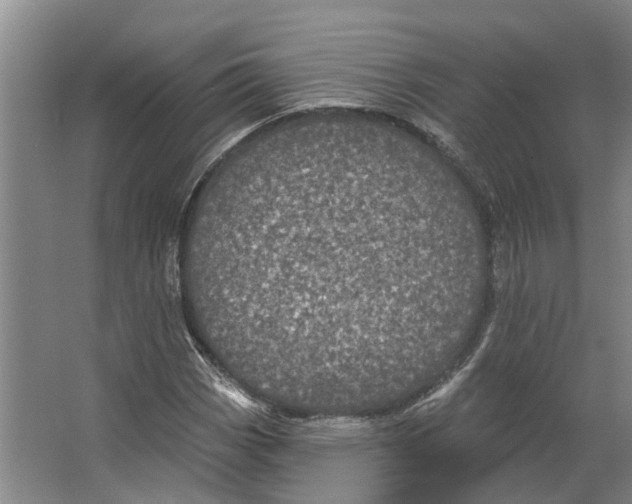 X0000066531113200604141832