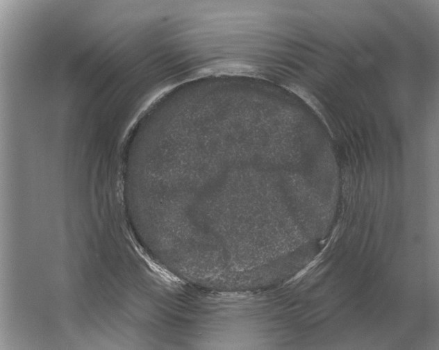 X0000066531115200604141832