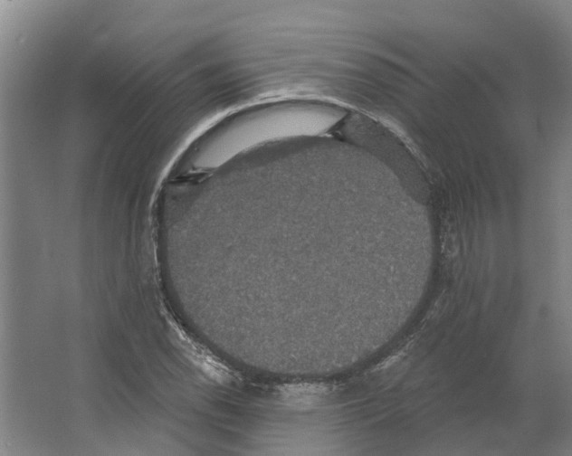 X0000066531118200604141832