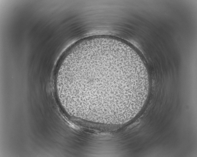 X0000066531119200604141832