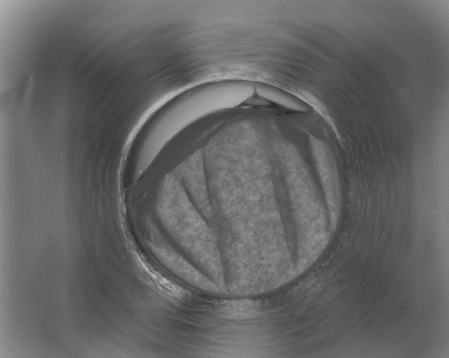 X0000066531120200604141832