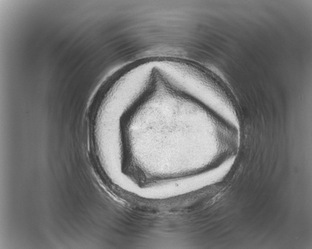 X0000066531123200604141833