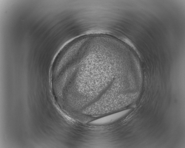 X0000066531124200604141833