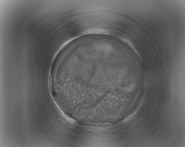 X0000066531125200604141833