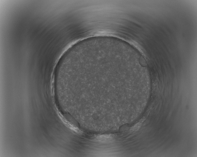 X0000066531126200604141833