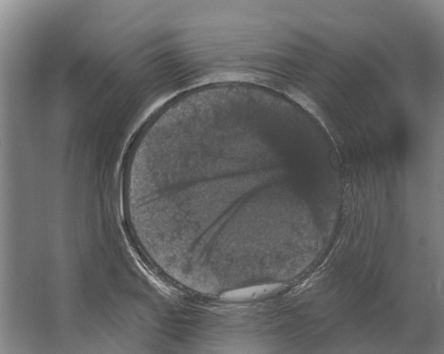 X0000066531127200604141833