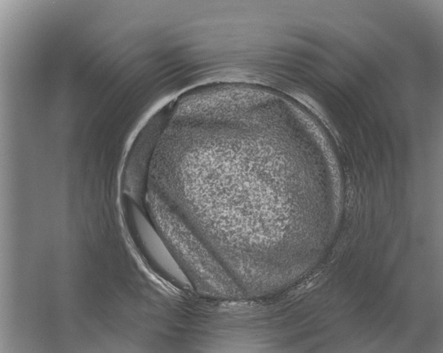 X0000066531128200604141833