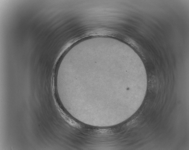 X0000066531130200604141833