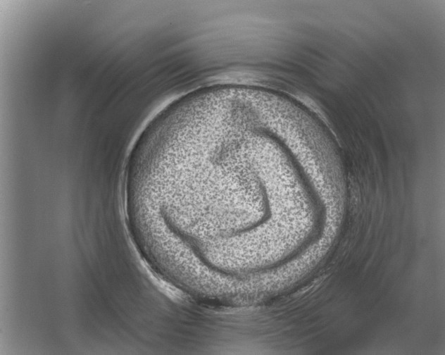 X0000066531131200604141833