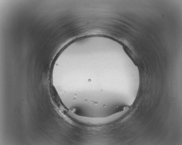 X0000066531134200604141833