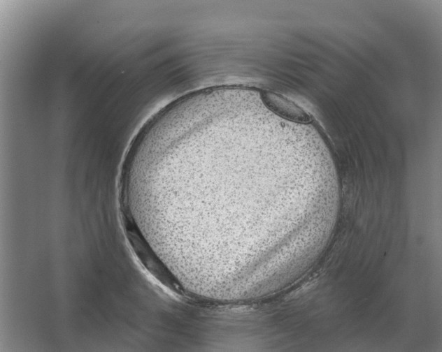 X0000066531135200604141833