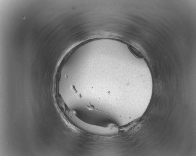 X0000066531136200604141833