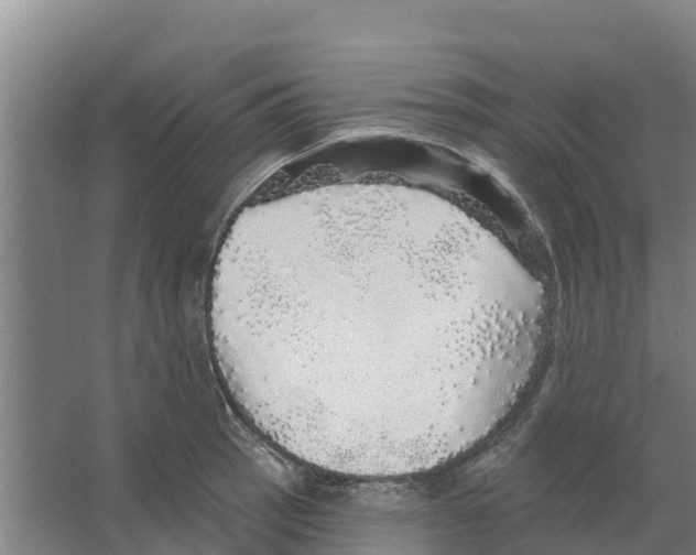 X0000066531137200604141833